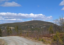 Kollenatten
