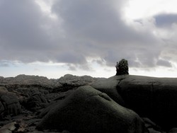 Klypeknuden