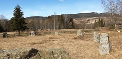 Tolvsteinringen
