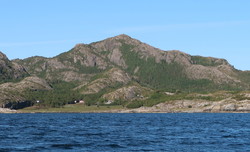 Eiternestinden