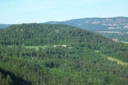 Gardlaushøgda