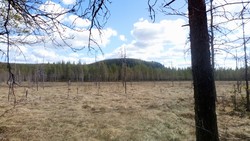 Ormåsen