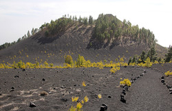 Montaña Pelada