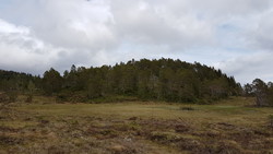 Åsseterhaugen