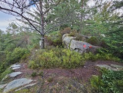 Gavlahaugane