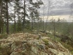 Rundtjennåsen Rundtjennåsen