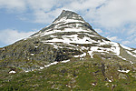 Skagsnebb Skagsnebb