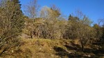 Helgheim (tuft), Løvstakken Helgheim (tuft), Løvstakken