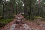 Grønliåsen Grønliåsen
