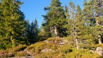 Skorpeberget Skorpeberget