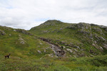 Landnubben Landnubben