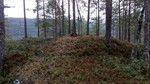 Bakkåsen Bakkåsen