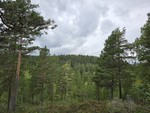Tretjennsåsen Nordøst Tretjennsåsen Nordøst