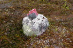 Staupåsen Staupåsen