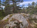 Ulvberget Ulvberget
