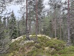 Trettås Trettås