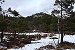 Fanasåta Fanasåta
