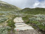 Gaustatoppen sherpatrapp Gaustatoppen sherpatrapp