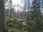 Trondsåsen Trondsåsen