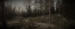 Skårerberget Skårerberget