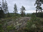 Sørvest for Høgåsen Sørvest for Høgåsen