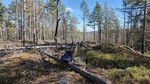 Svarttjennheia Svarttjennheia