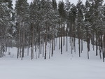 Svantjennhaugen Svantjennhaugen