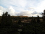 Løvisåsen Løvisåsen