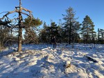 Gamlevollåsen Gamlevollåsen