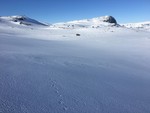 Ynglesnuten Ynglesnuten