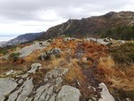 Ormhaugen Ormhaugen