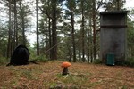Bogsnesåsen Bogsnesåsen