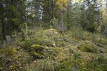 Harastokkåsen Harastokkåsen