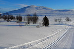 Håneskletten Håneskletten