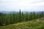 Nesberget Nesberget
