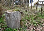 Bystein 61 Bystein 61