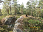 Tiuråsen Tiuråsen