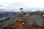 Svinnesnebba Svinnesnebba