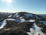 Bjørndalshesten Bjørndalshesten