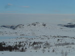Lakkaknuten Lakkaknuten
