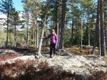 Hestholsfjellet Hestholsfjellet