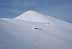 Vistkjerringa Vistkjerringa