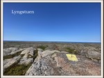 Lyngstuen Lyngstuen