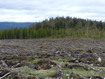 Granåsen Sør Granåsen Sør