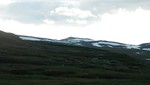 Skoddenose Skoddenose