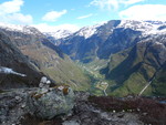 Skjerpisnuten Skjerpisnuten
