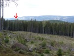 Kolbuåsen Vesttoppen Kolbuåsen Vesttoppen