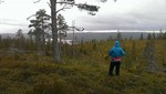 Skonhovdhøgda Skonhovdhøgda