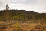 Øyvasskollen Øyvasskollen
