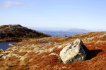 Blåfjellet 264 m på Nærøy Blåfjellet 264 m på Nærøy